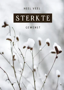 Stijlvolle sterkte kaart winter met besneeuwde plantjes
