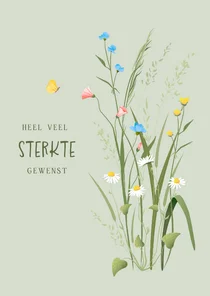 Stijlvolle sterktekaart met sierlijke veldbloemen en vlinder
