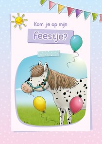 Stip de Pony uitnodiging