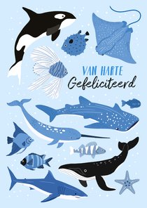 Stoere verjaardagskaart met oceaandieren