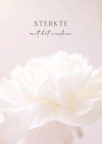 Subtiele condoleancekaart met witte bloem