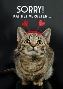 Te laat valentijnskaartje met poes - Sorry, kat het vergeten