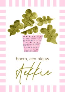 Trendy felicitatiekaart plant nieuw stekkie roze strepen