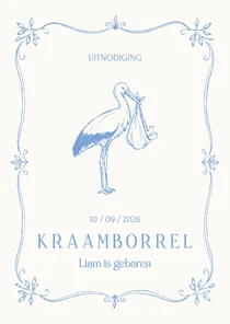 Uitnodiging kraamborrel jongen met klassieke ooievaar