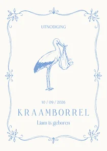 Uitnodiging kraamborrel jongen met klassieke ooievaar
