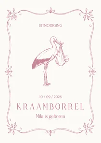 Uitnodiging kraamborrel klassiek meisje met ooievaar