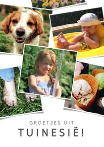 Vakantiekaart fotocollage groetjes uit Tuinesië -achtertuin