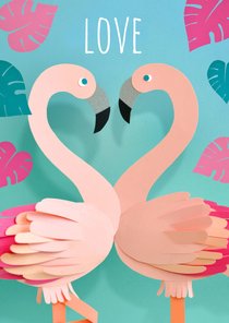 Valentijn flamingo's love