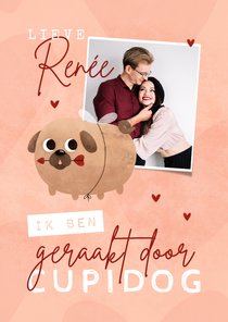 Valentijnskaart geraakt door cupidog met foto