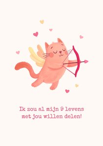 Valentijnskaart kat cupido humor 9 levens hartjes liefde