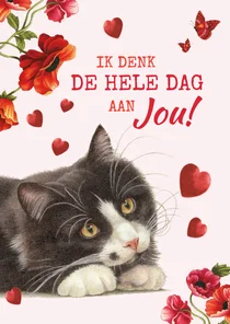 valentijnskaart met kat ik denk de hele dag aan jou