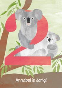 Verjaardag 2 jaar - koala's