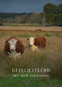 verjaardagkaart 's moe mentje