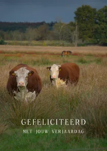 verjaardagkaart 's moe mentje 