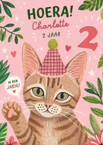 Verjaardagskaart 2 jaar poes katje feest hoera meisje