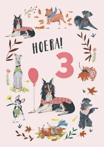 Verjaardagskaart 3 jaar honden illustratie
