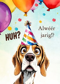 Verjaardagskaart alweer jarig hond