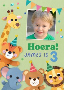 Verjaardagskaart dieren en confetti met foto