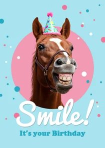 Verjaardagskaart grappig paard smile birthday confetti