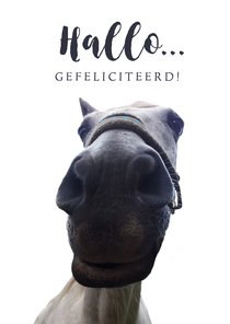 Verjaardagskaart grappig paard	