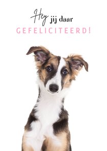 Verjaardagskaart - Hey jij daar gefeliciteerd - hond