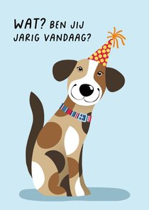 Verjaardagskaart hond met feestmuts