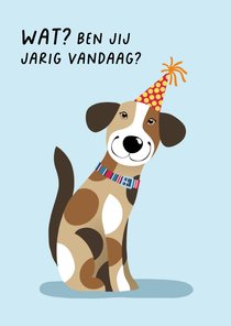 Verjaardagskaart hond met feestmuts