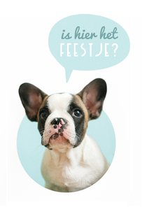 Verjaardagskaart hondje is hier het feestje?