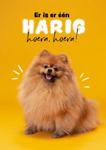 Verjaardagskaart humor jarig dier hond verjaardag