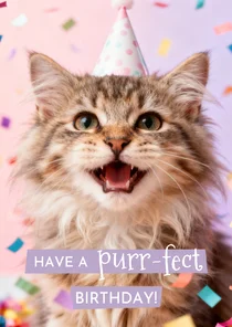 Verjaardagskaart humor kat confetti purrfect birthday