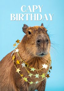 Verjaardagskaart humor met capybara lichtblauw