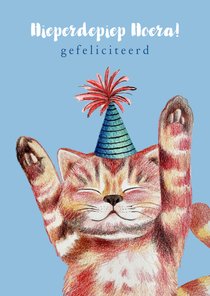 Verjaardagskaart met feest vierende kat