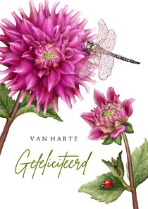 Verjaardagskaart met roze dahlia libelle & lieveheersbeestje