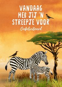 Verjaardagskaart met zebra's