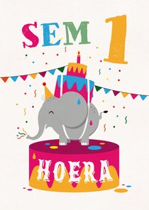 Verjaardagskaart olifant hoera feest jongen meisje