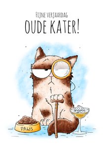 Verjaardagskaart oude kater 'Fijne verjaardag ouwe kater!'