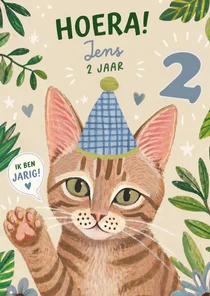 Verjaardagskaart poes met feesthoedje 2 jaar