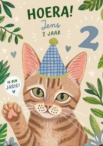 Verjaardagskaart poes met feesthoedje 2 jaar