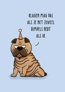 Verjaardagskaart rimpelhond met hoedje grappig