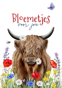 Verjaardagskaart Schotse hooglander met veldbloemen