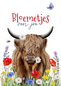 Verjaardagskaart Schotse hooglander met veldbloemen