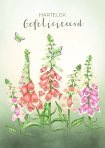 Verjaardagskaart zomerbloemen en vlinders