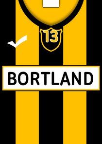 Voetbalshirt zelf invullen V