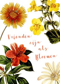 Vrienden zijn als bloemen