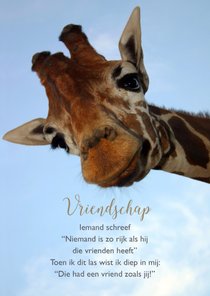 Vriendschap kaart giraf met gedicht