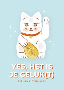 Vrolijk geslaagdkaartje met lucky cat blauw