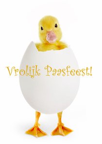 Vrolijk paasfeest van Tsjilp