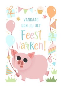 Vrolijk verjaardagskaartje kind feestvarkentje