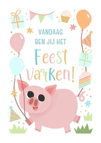Vrolijk verjaardagskaartje kind feestvarkentje