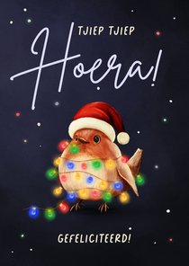 Vrolijke kerst verjaardagskaart roodborstje met lampjes